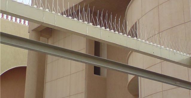 افضل شركة مكافحة حمام بالرياض