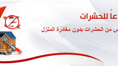 افضل شركة مكافحة حشرات بالرياض